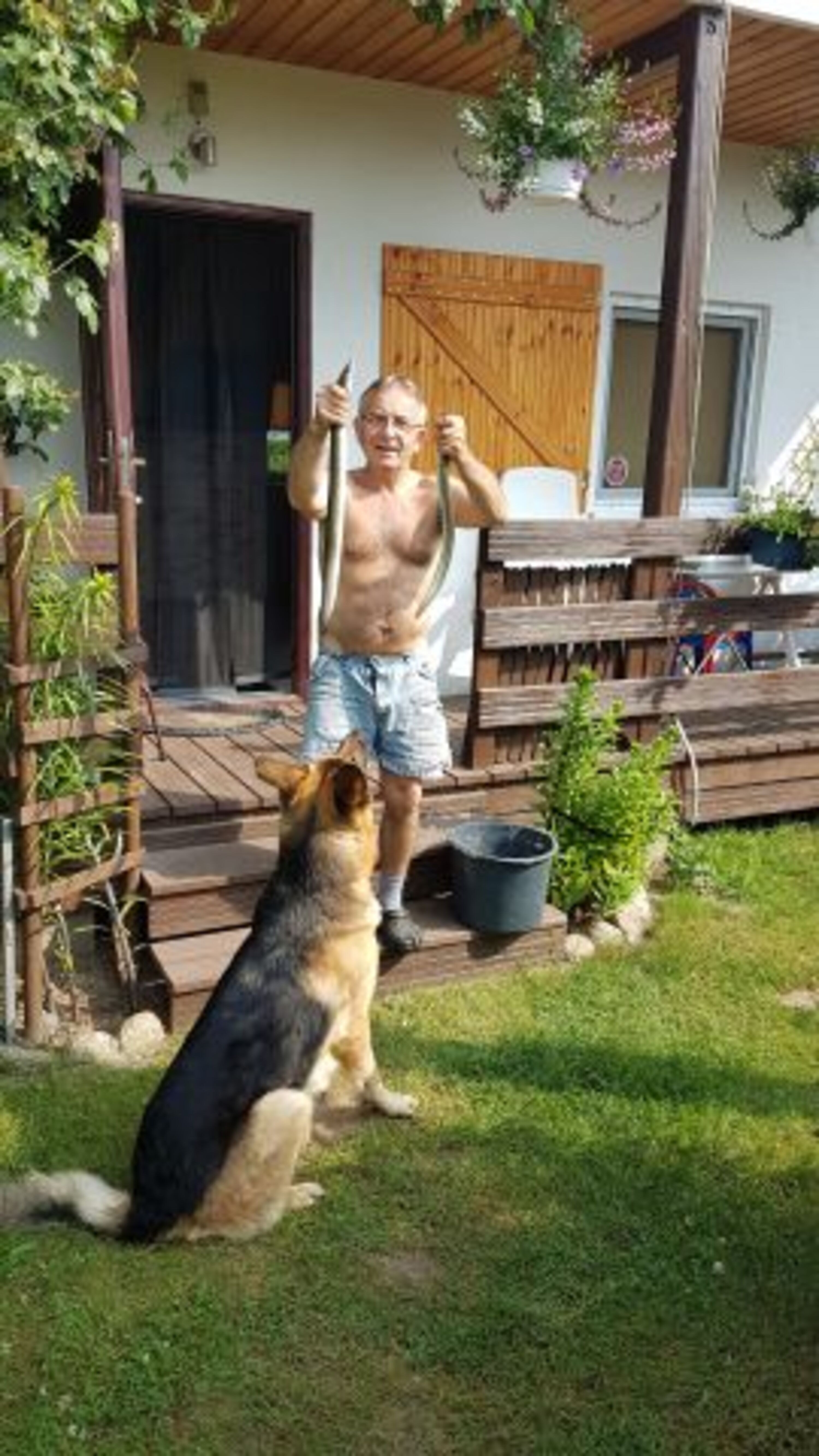 Aale gefangen am 8.6.19 Angelsteg