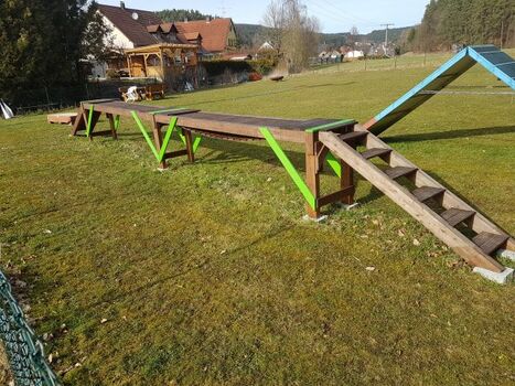 Geschlicklichkeitsbrücke für Hunde - neu 2018