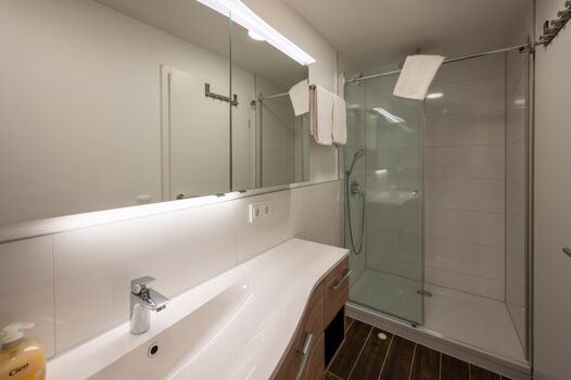 Schnitzerzimmer - Duschbad