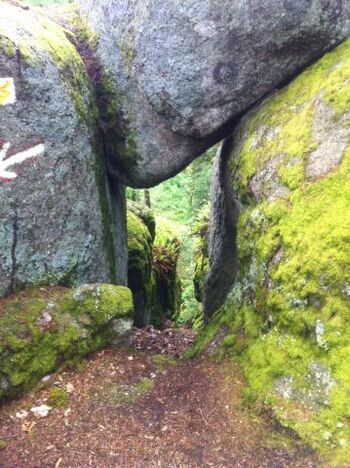 Wandern im Bayerischen Wald