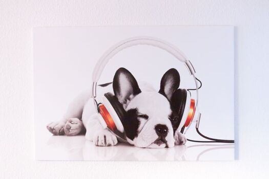 Lassen Sie die Seele baumeln!