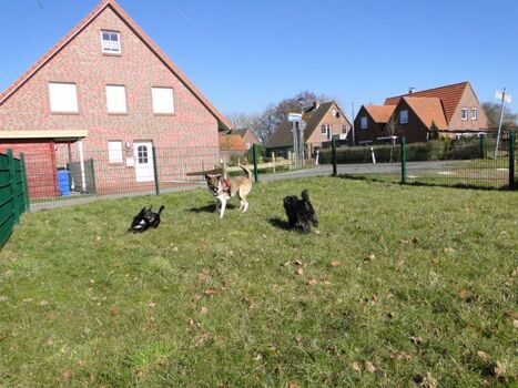 Großer, komplett umzäunter Garten