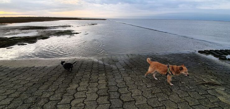Auf Sie warten wunderschöne Sonnenuntergänge