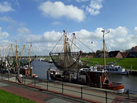 Greetsieler Hafen mit Krabbenkutter