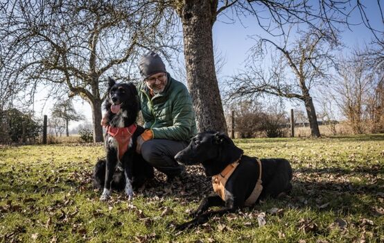 Zu jeder Jahreszeit genießen Mensch und Hund den großzügigen Garten