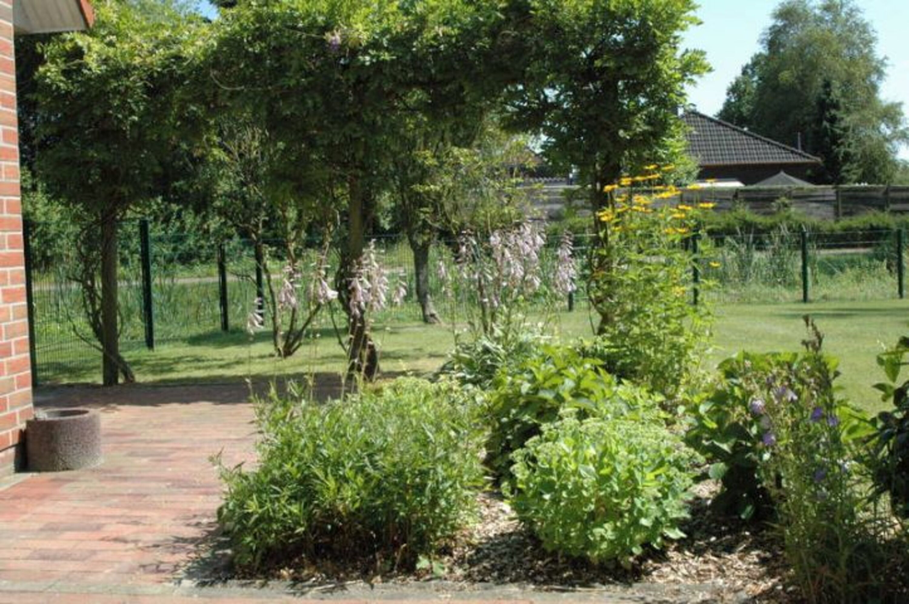 Grüner Garten