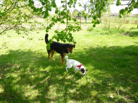 Hey Kleine - laß uns Unfug machen....