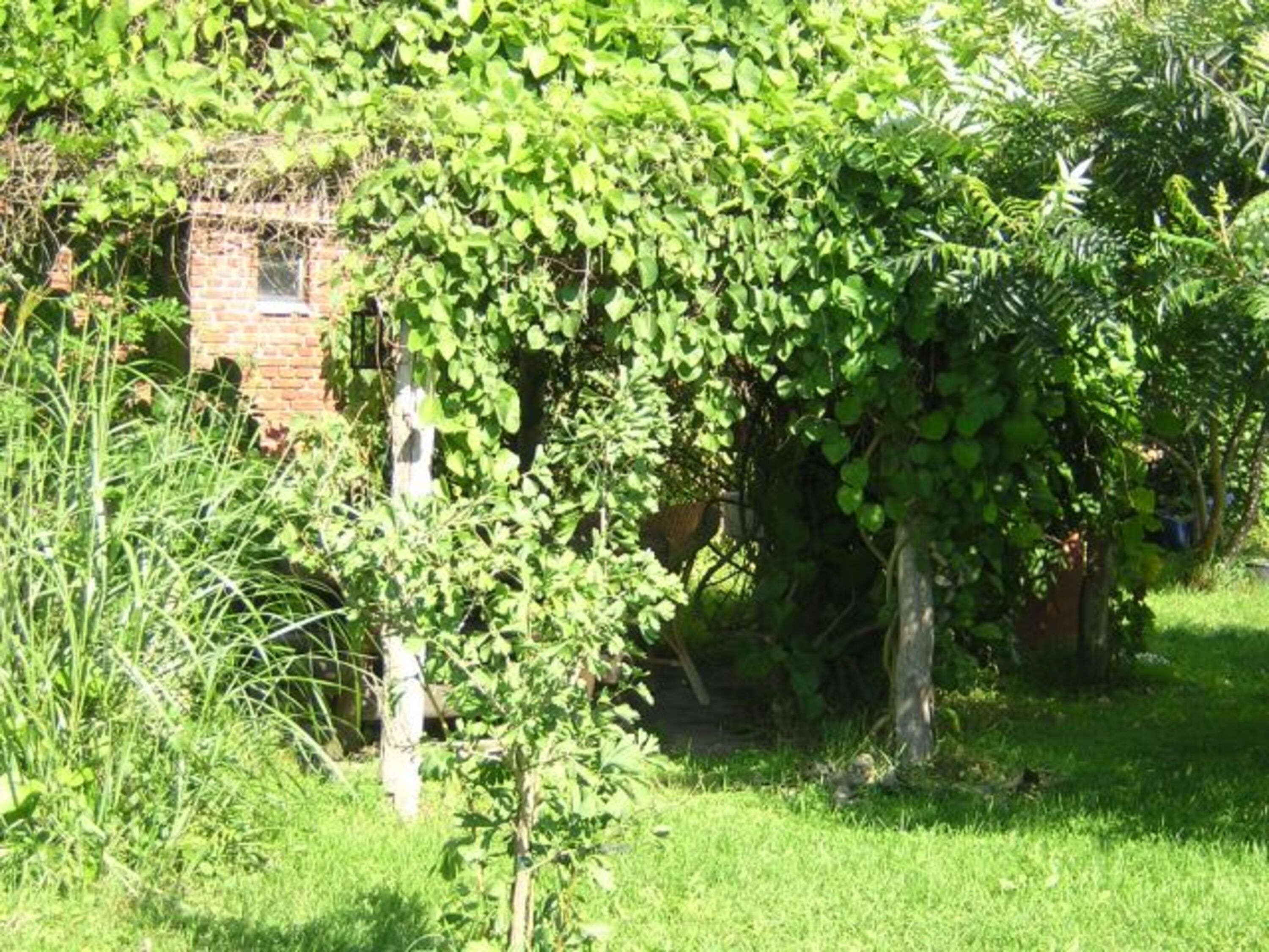 Gartenidyll