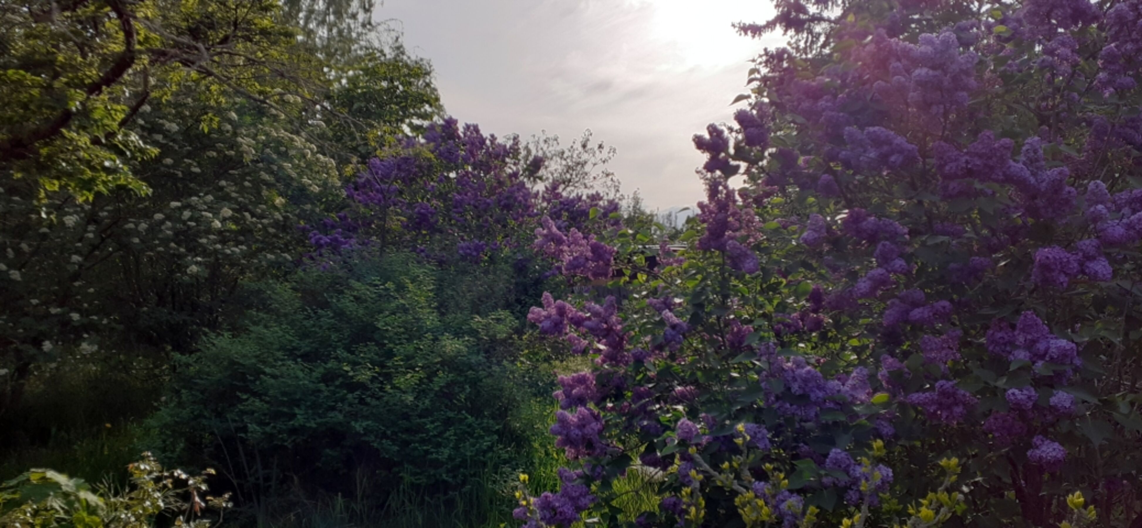 Bild 16