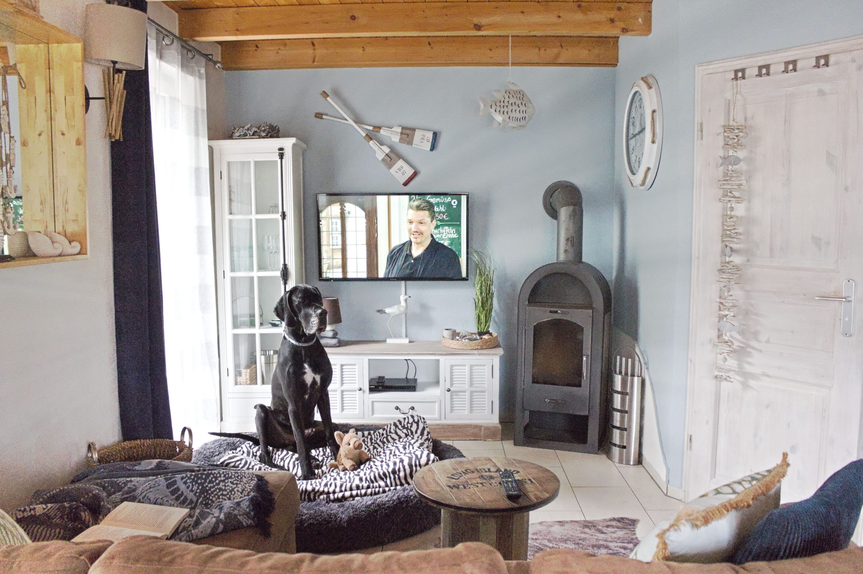 Wohnraum auch mit großem Hund