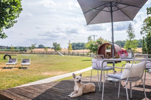 Freistehendes Ferienhaus mit eingezäuntem Garten – hier haben Hunde richtig Spaß!