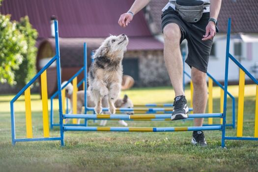 Ihr eigenener Parcours