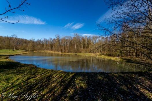 Fussläufig zu erreichen - auch hier können Hunde schwimmen