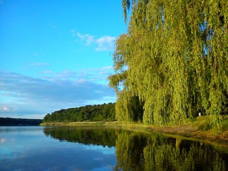Ausblick an der Badestelle