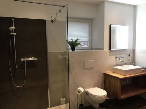 Das untere Badezimmer 