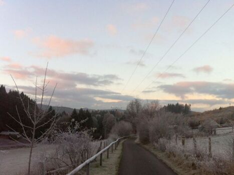 Der nahe Blindenpfad im Winter