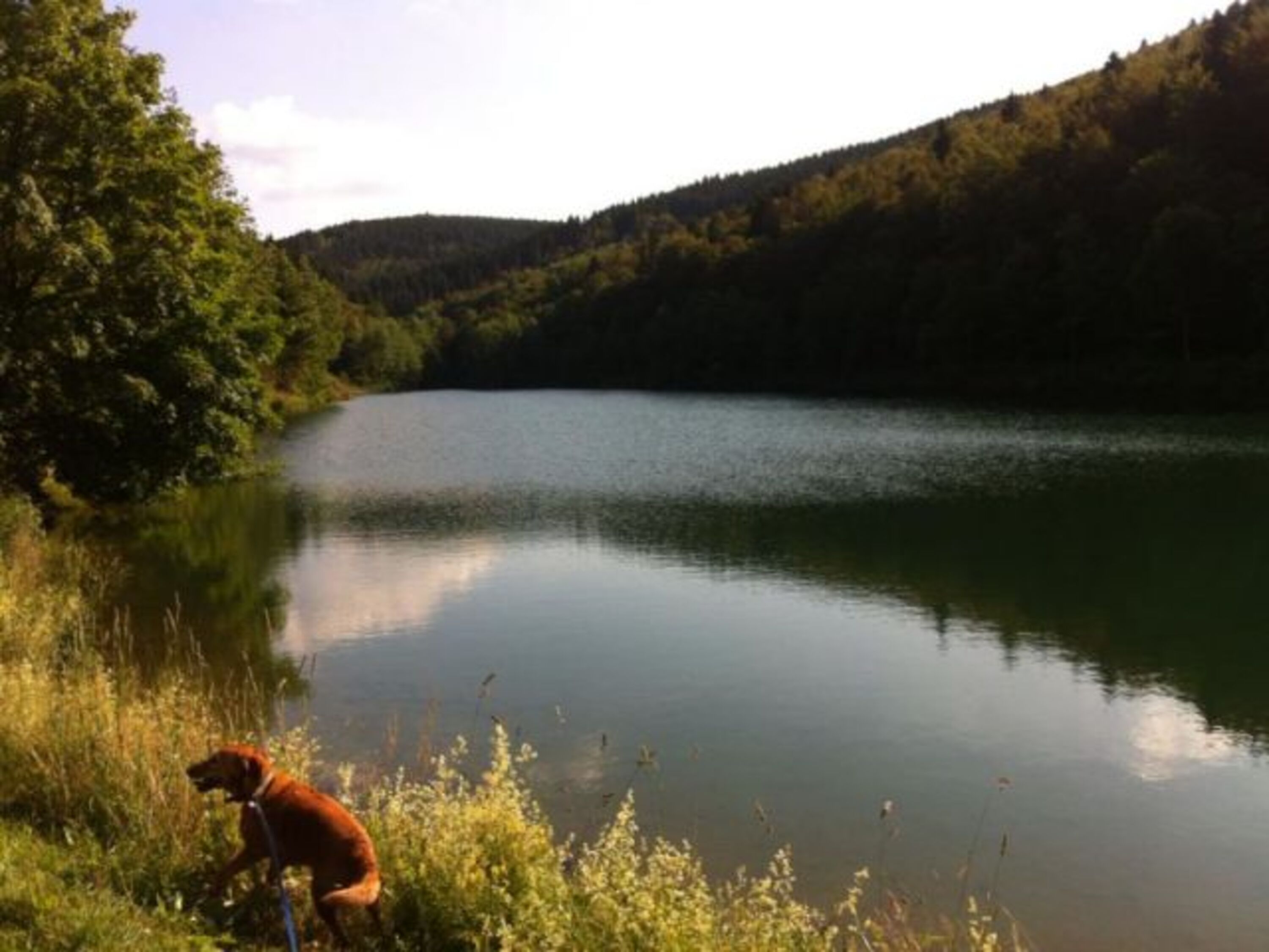 An der Schmala