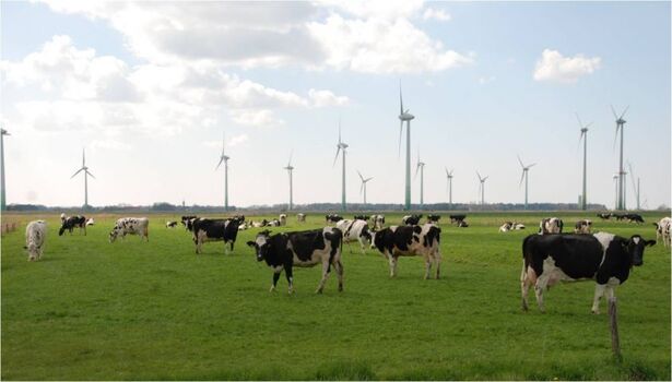 typisch ostfriesische Landschaft