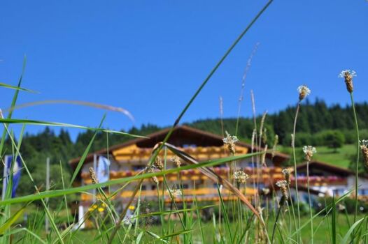 Das Landhaus inmitten saftiger Wiesen