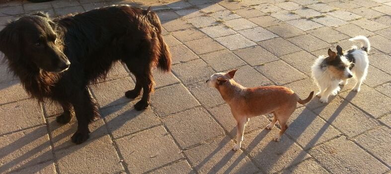 Bei uns ist wirklich jeder Willkommen