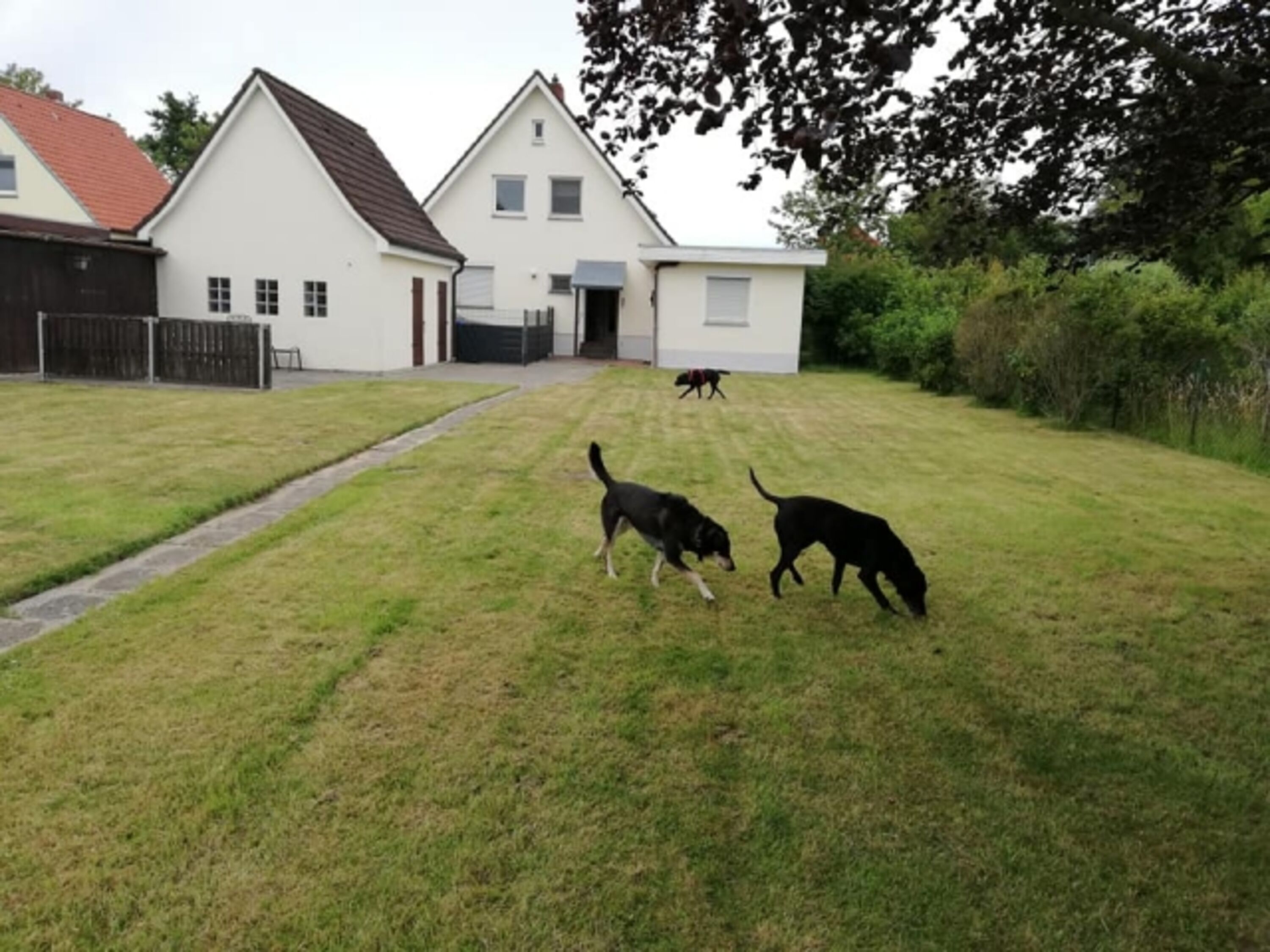 Bild 7