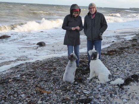 am Strand von Marienleuchte