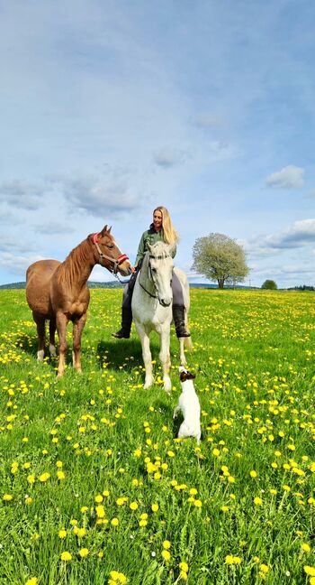 Wanderreiten