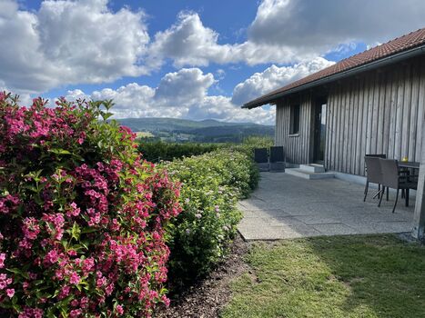Haus Waldeck mit Hund