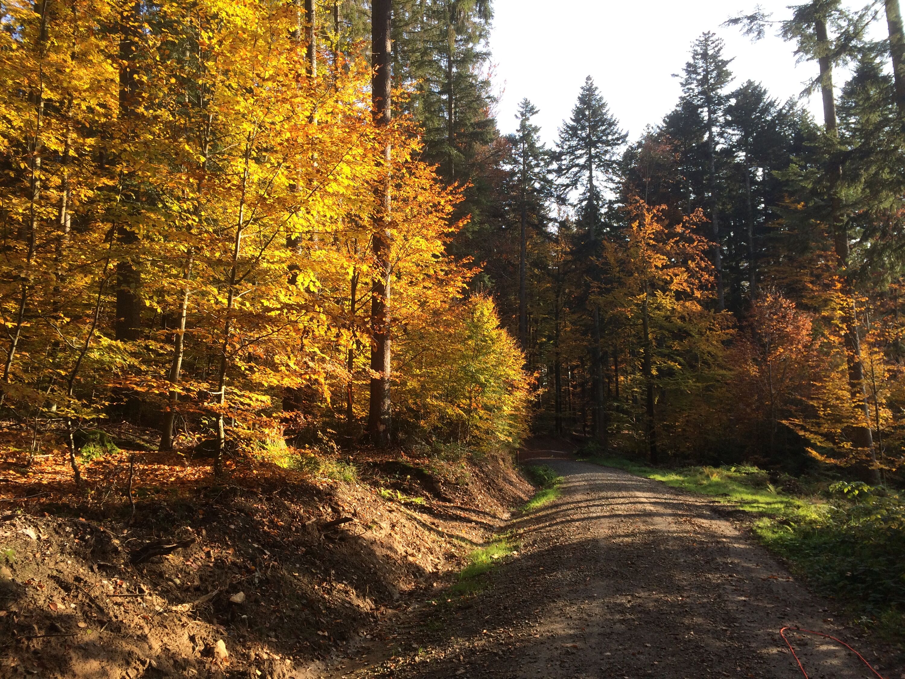 Im Nationalpark mit Hund