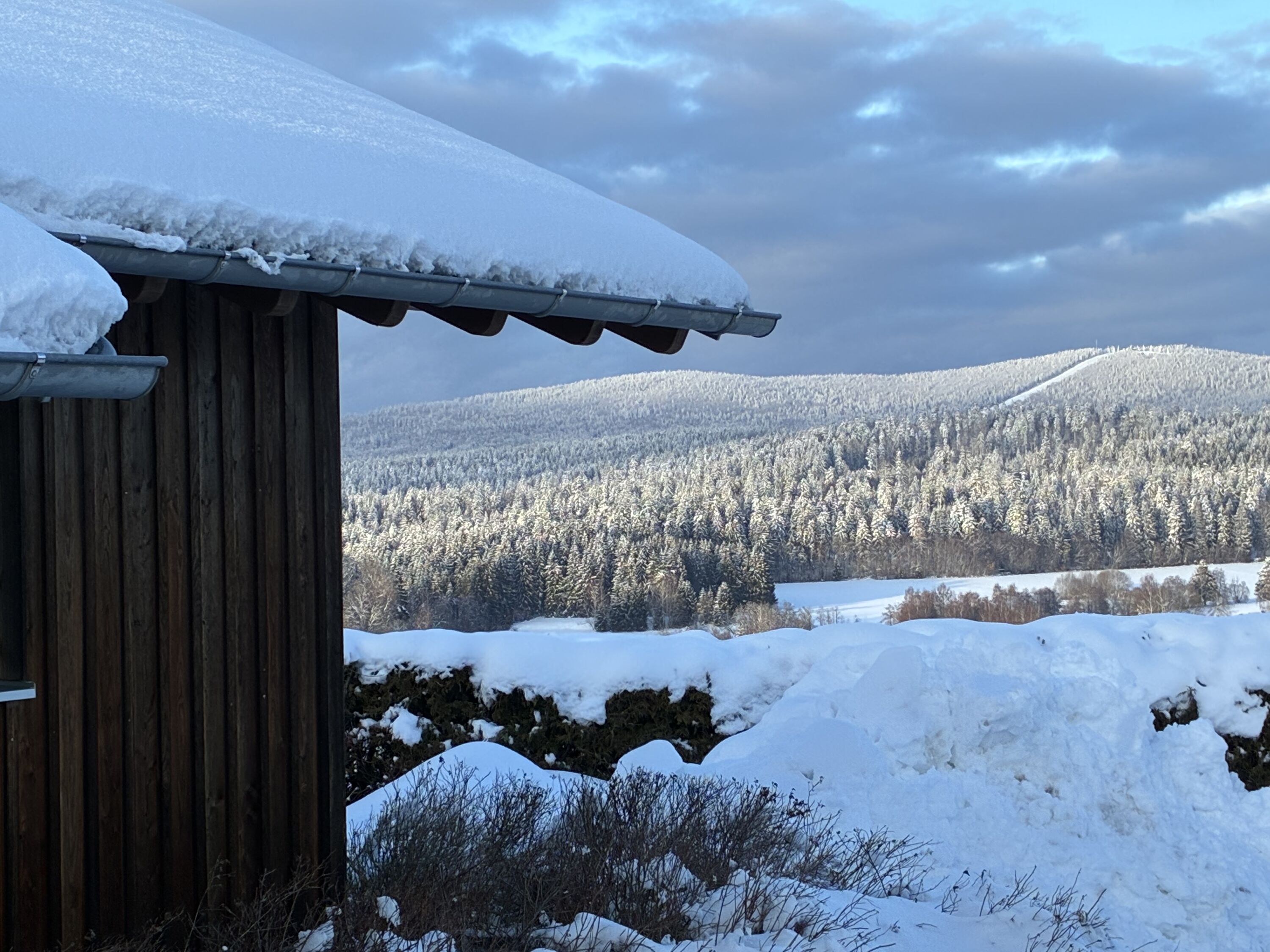 Haus Nationalpark mit Hund