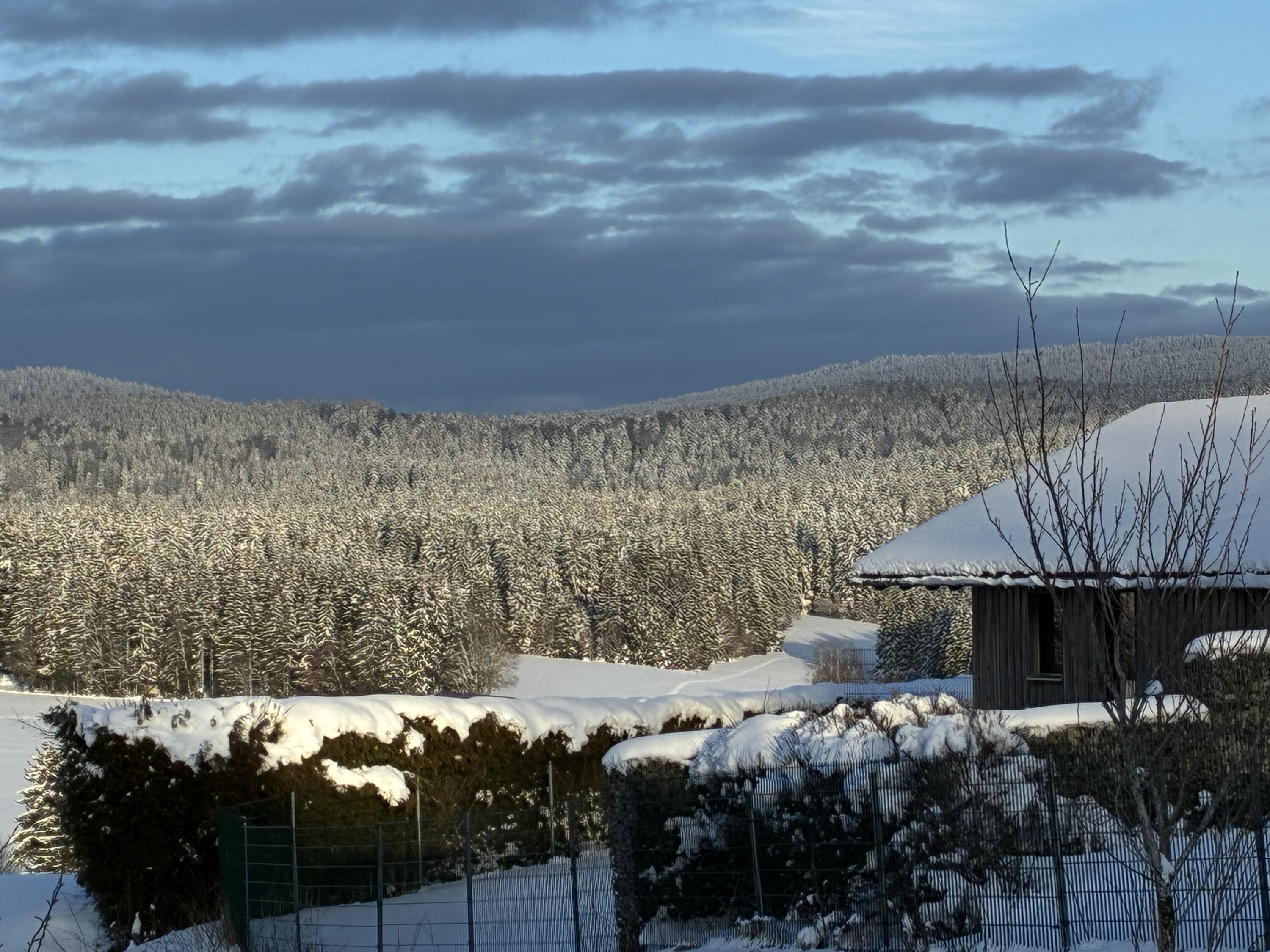 Haus Nationalpark mit Hund