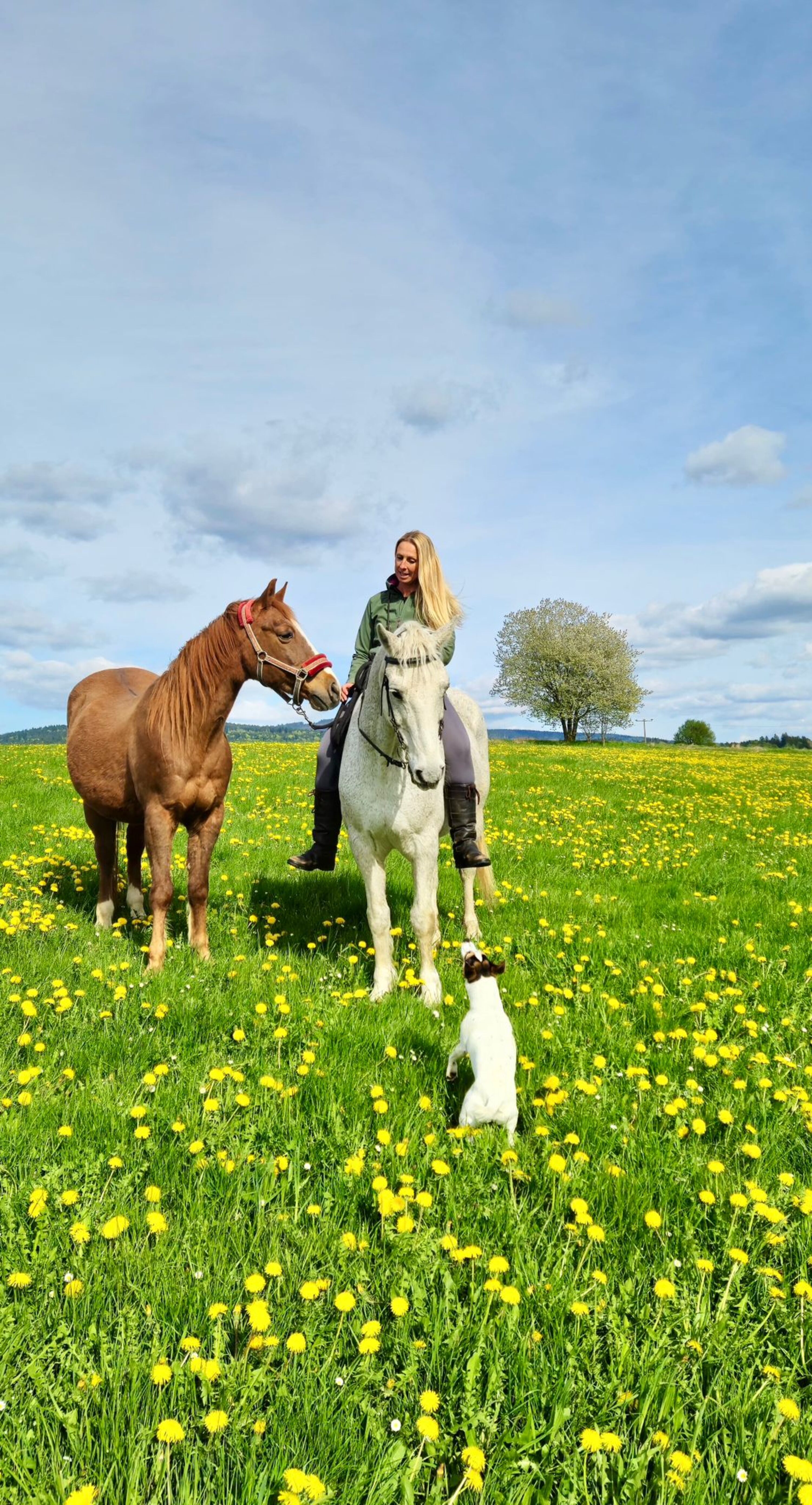 Wanderreiten
