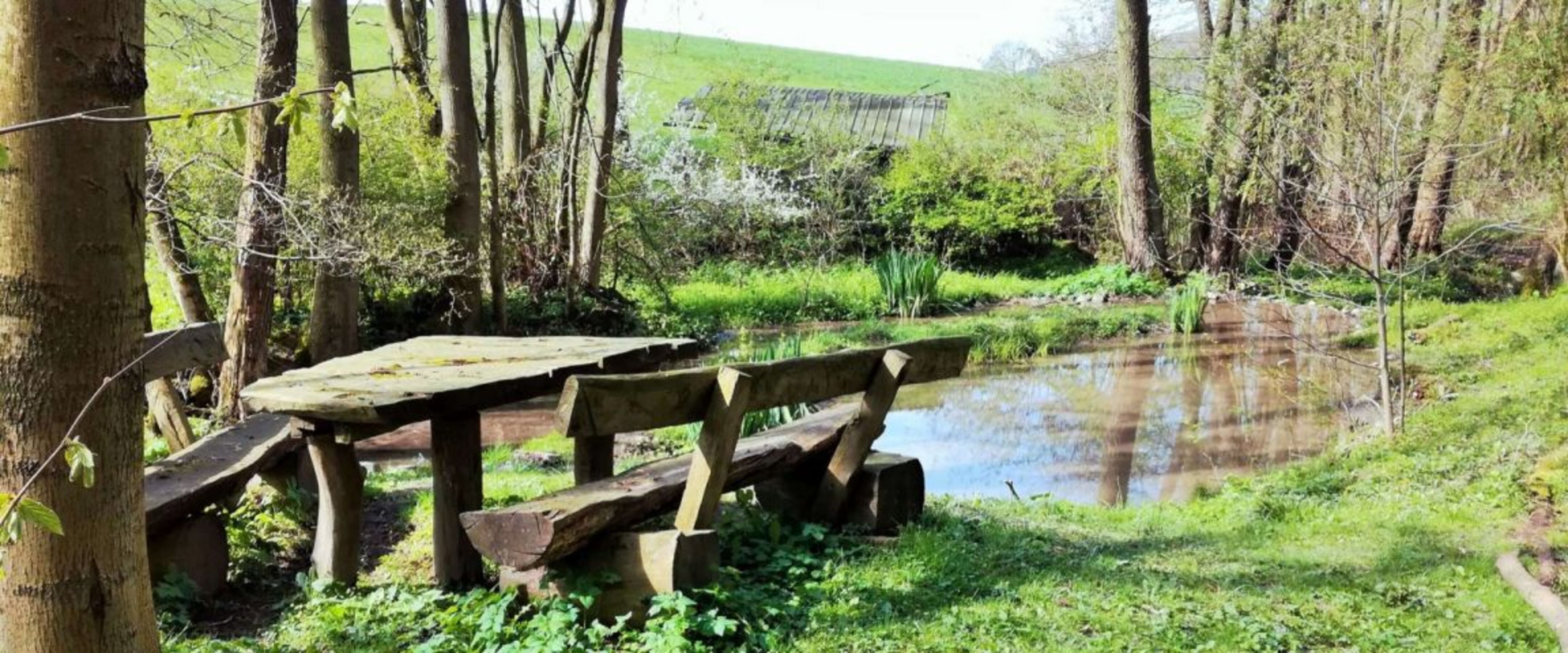 Am Wanderweg A3
