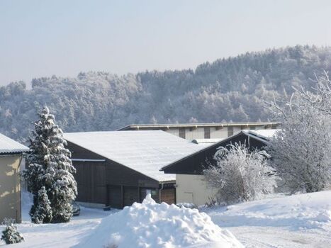 Hofeinfahrt im Winter