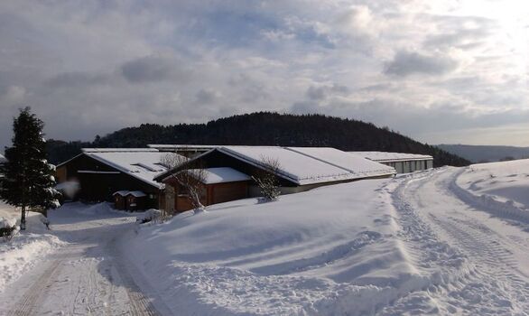 Hofeinfahrt im Winter