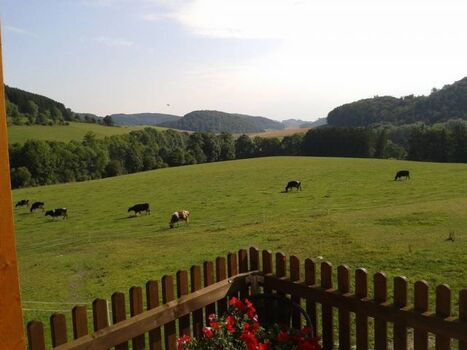 Aussicht von der Terrasse