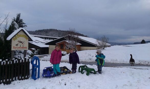 Kinder am Familienbauernhof