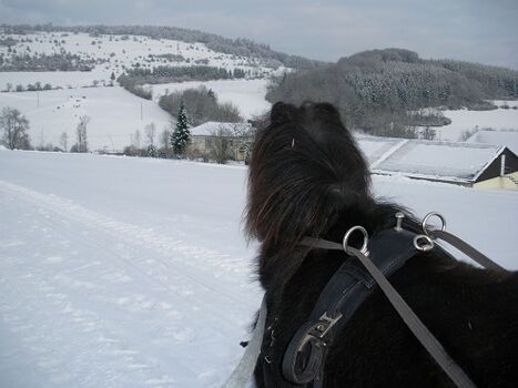 unser Hof im Schnee