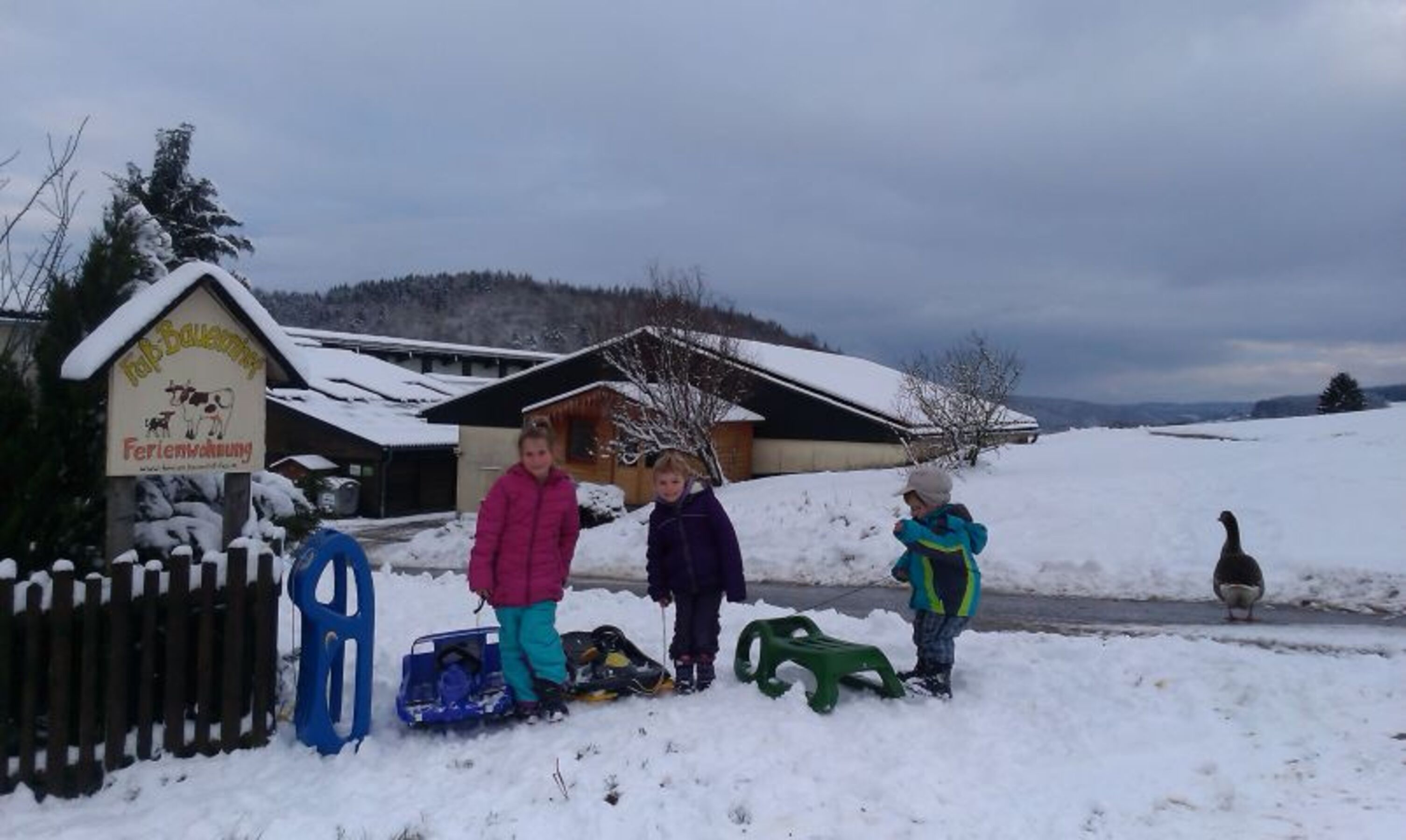 Kinder am Familienbauernhof