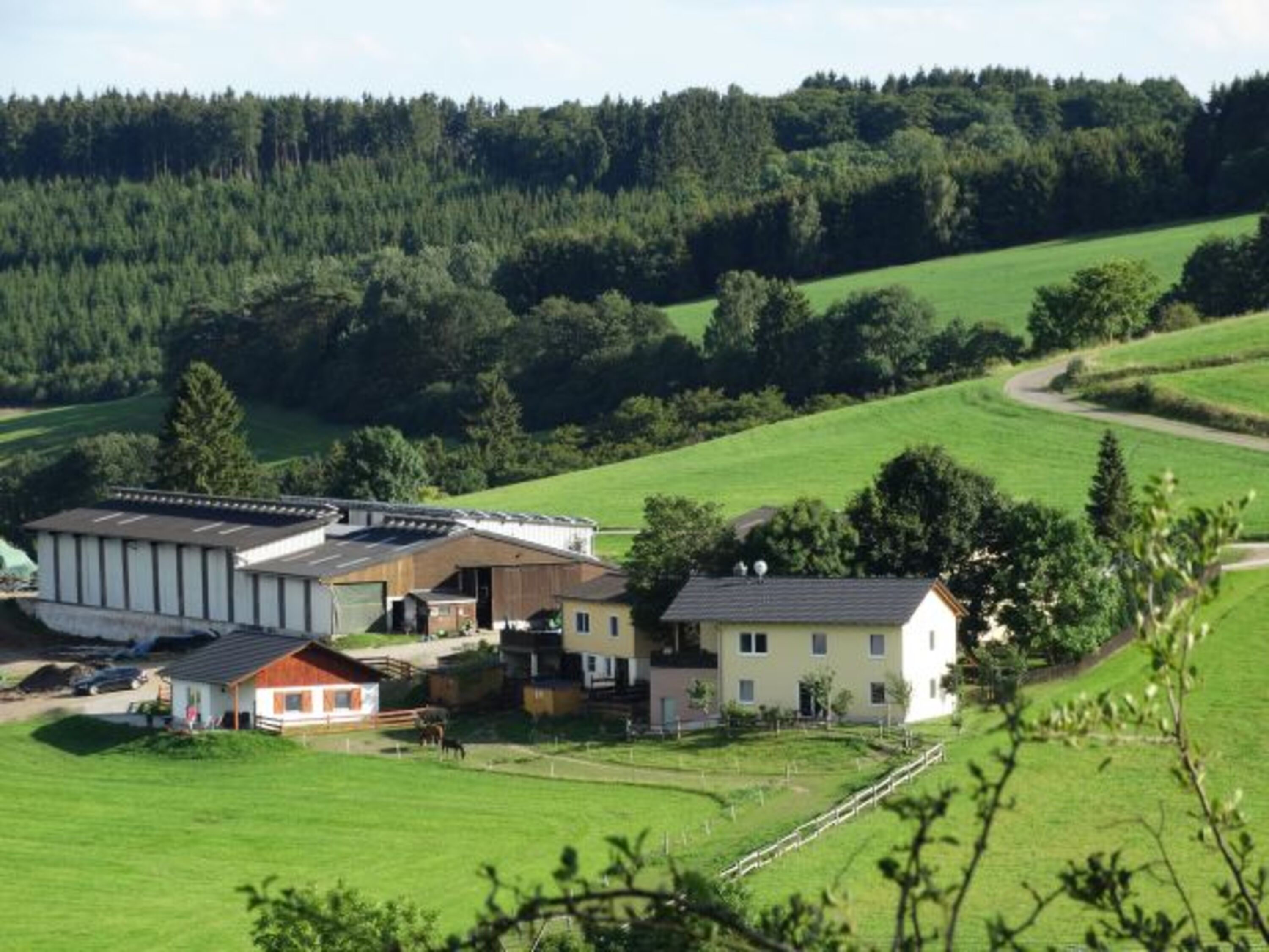 Blick auf den Hof
