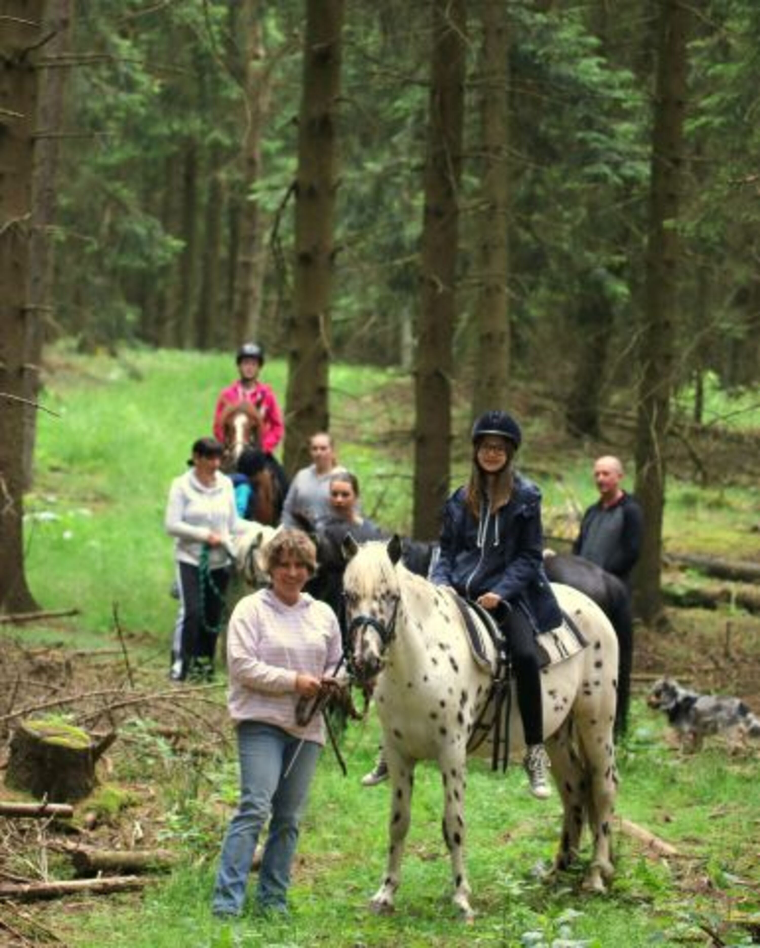 Ponyreiten am Hof