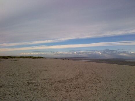 Hundestrand in Schillig