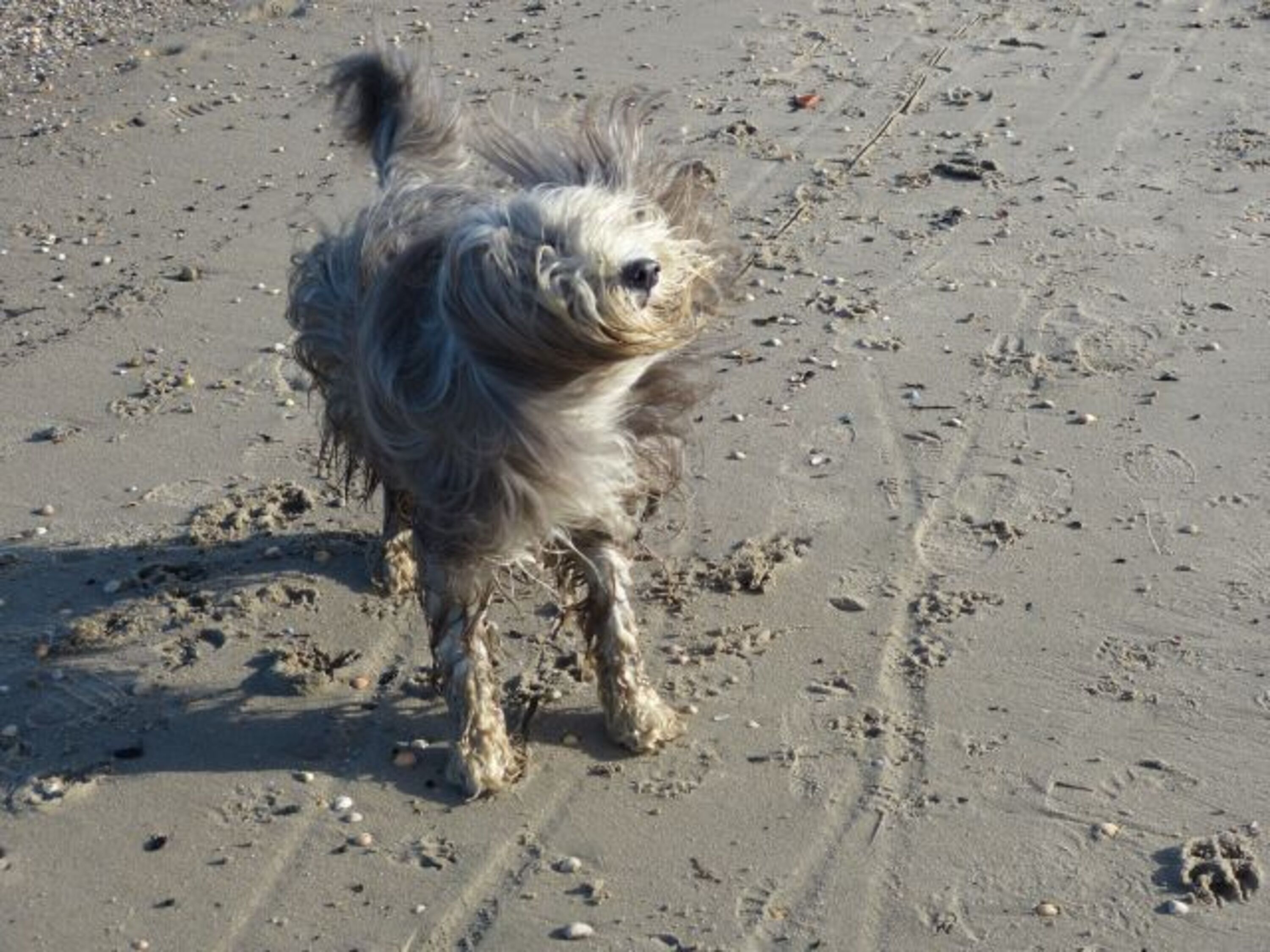 Bild 8