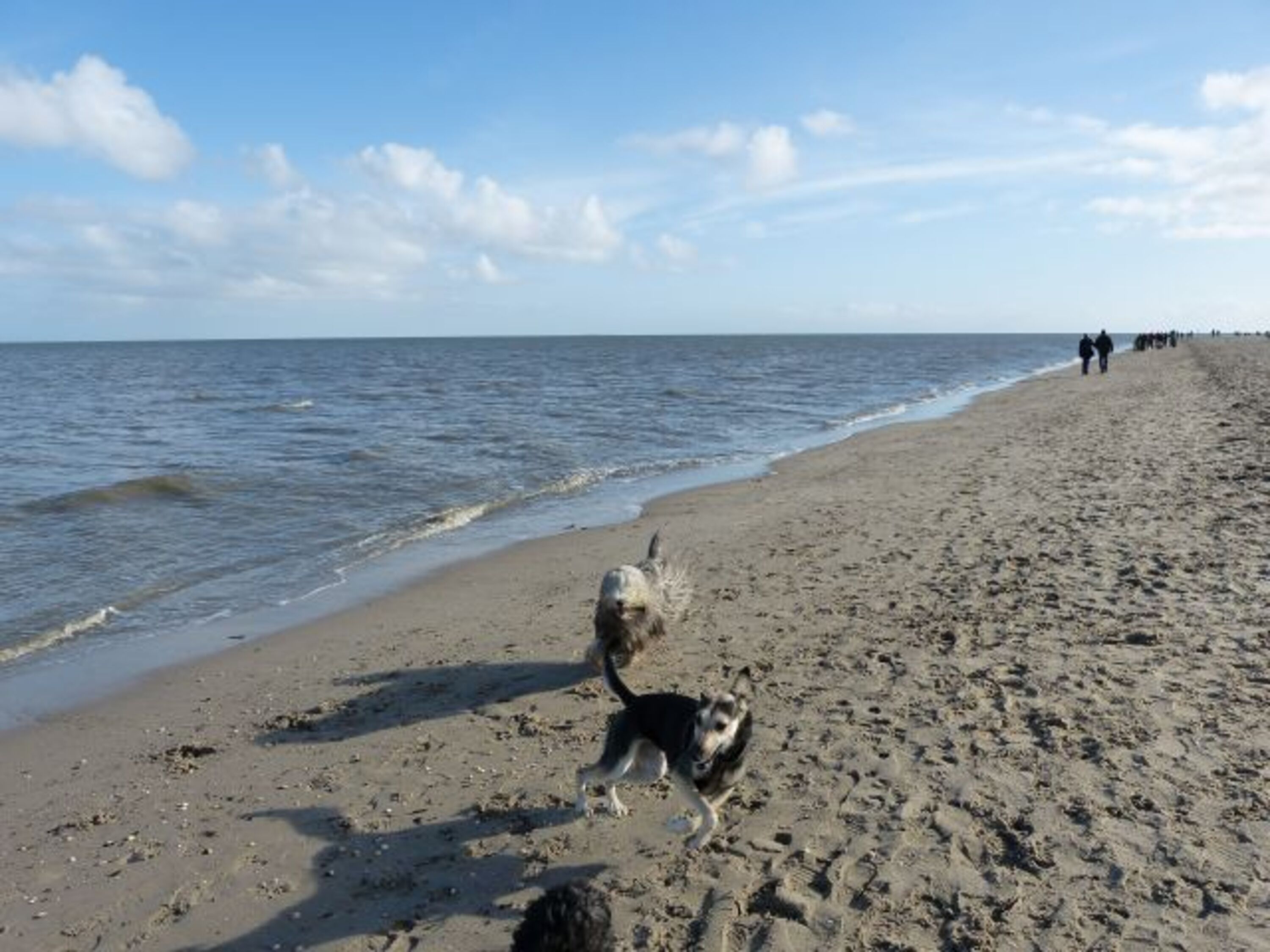 Bild 7