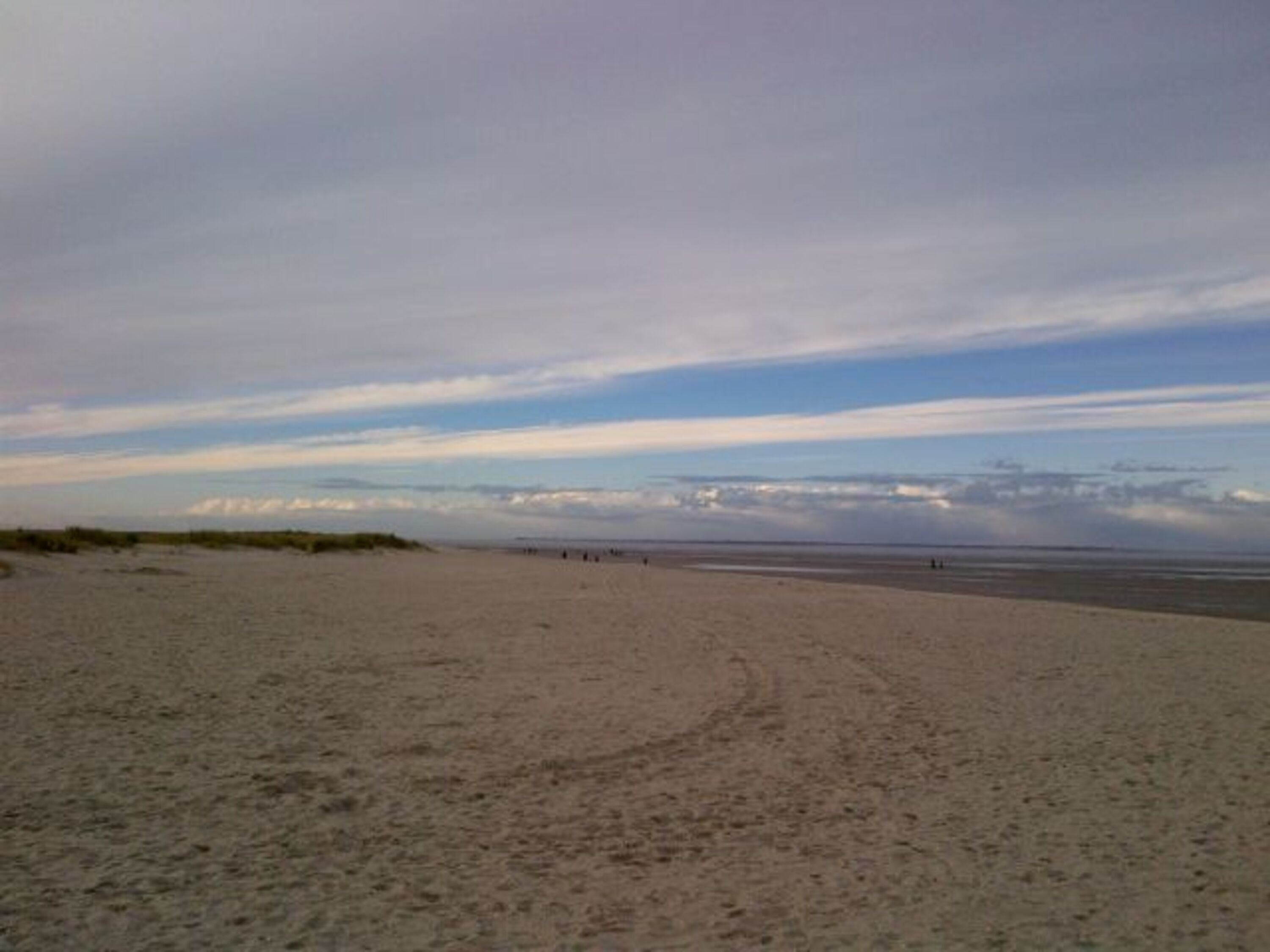 Hundestrand in Schillig