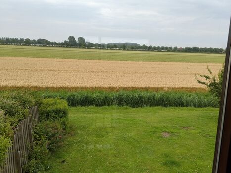 Blick von der Empore in den Garten