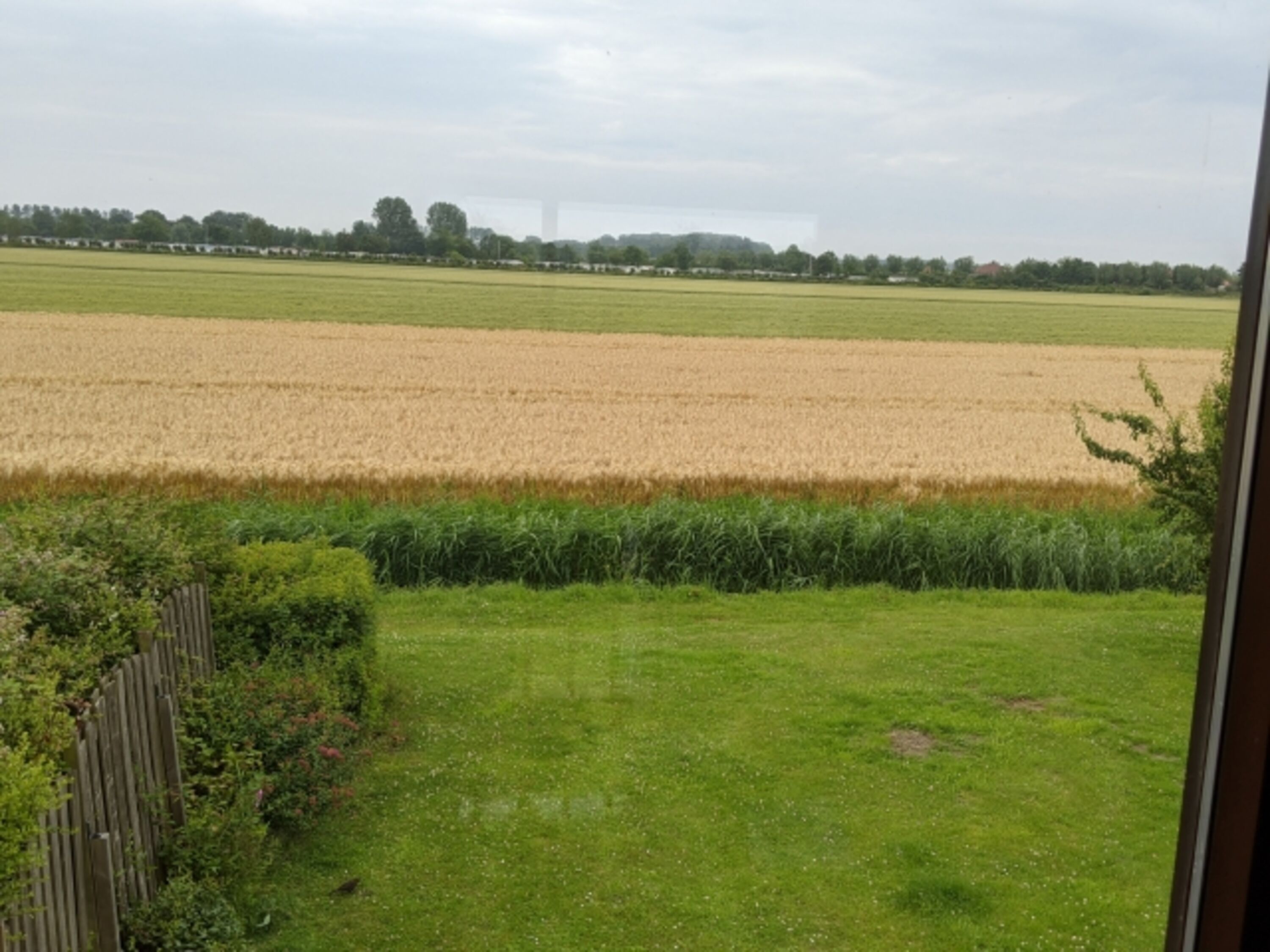 Blick von der Empore in den Garten