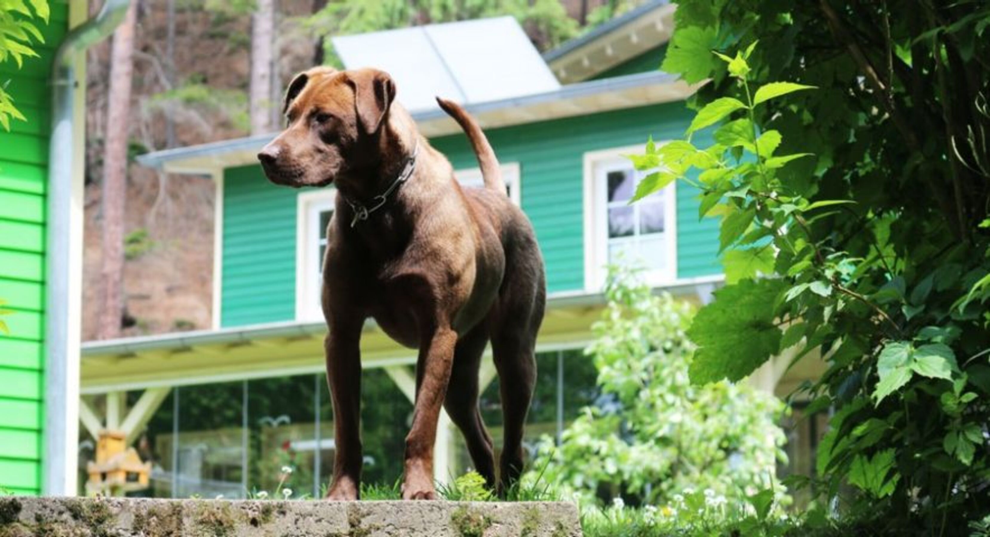 Bild 7