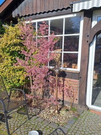 Wintergarten von außen