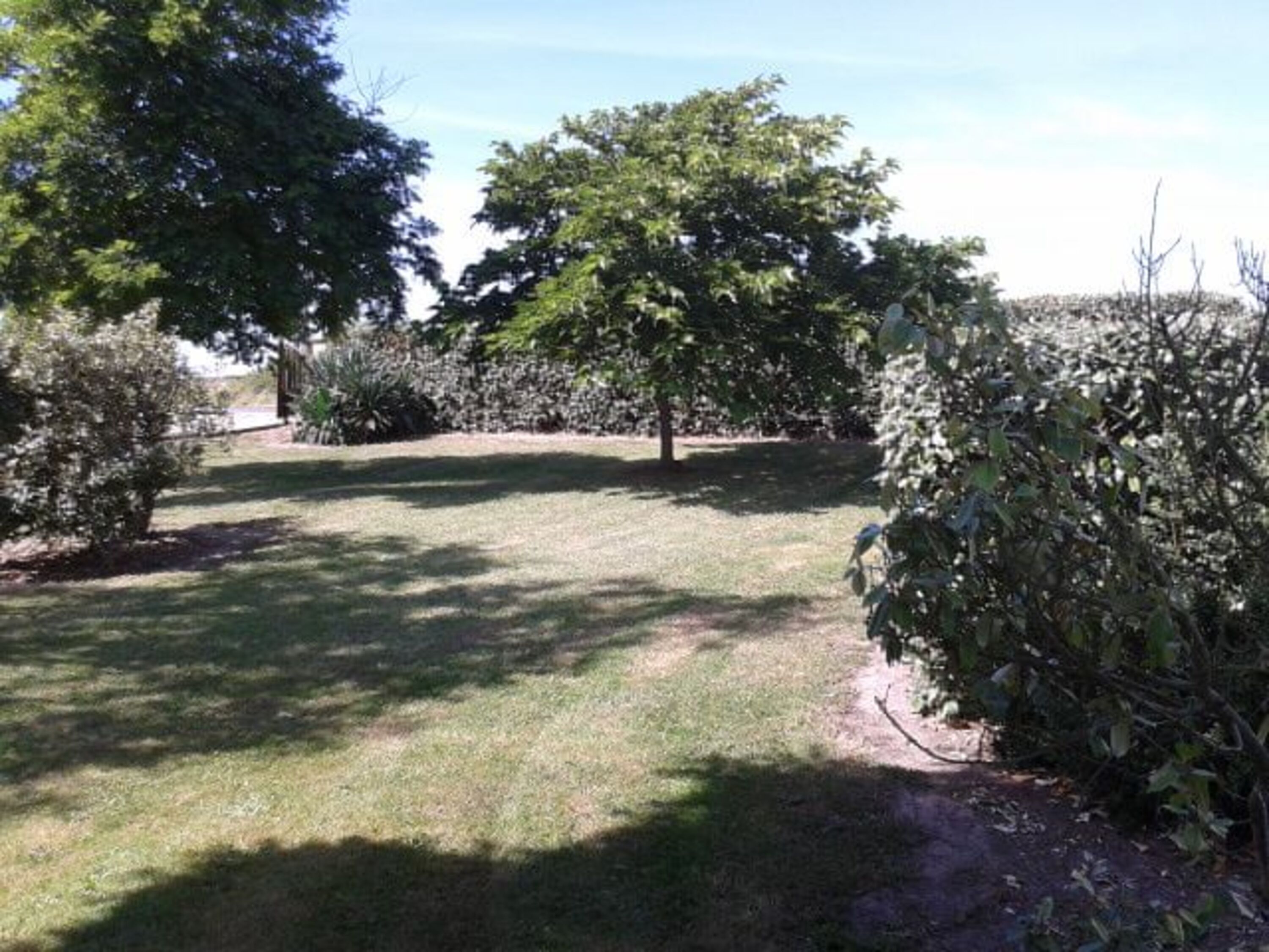 Bild 7